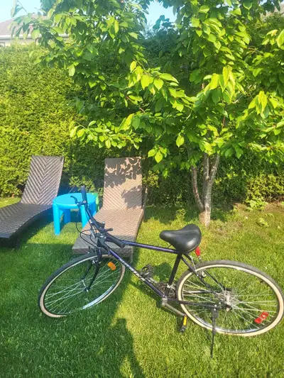 Vélo hybride pour adulte – 28" Propre et prêt à rouler ! Roues de 28 pouces Siège confortable pour d...