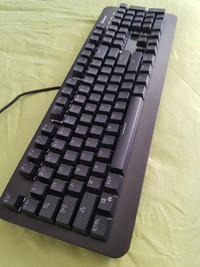 Blackweb Mechanical Keyboard