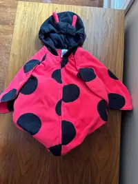 Carter’s Ladybug  costume. Size 12 months. 
