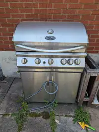 Stainless bbq