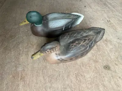 Duck Decoys, View more