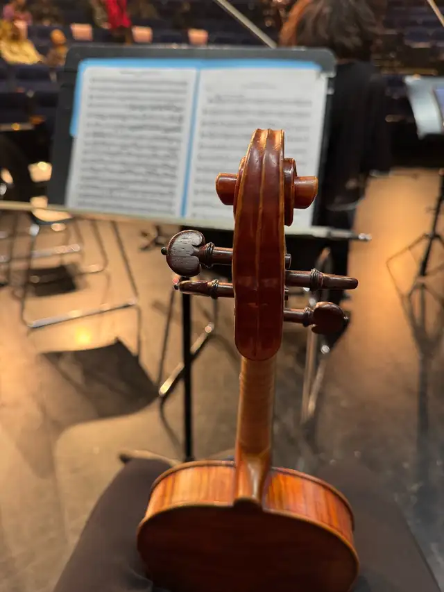 violin/viola/piano lessons422058297844705281