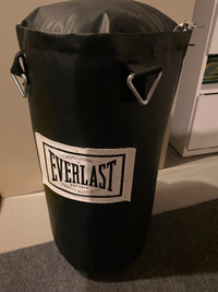 Everlast heavy punching bag