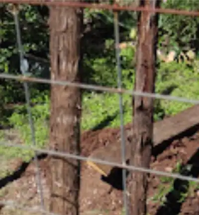 Round Cedar Posts & Rails - 8 feet +++, View more