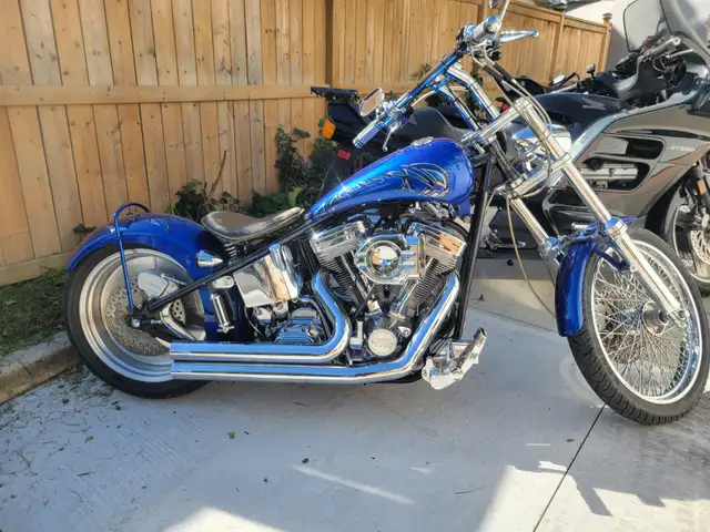 Used Harley Davidsons in Street, Cruisers & Choppers in Norfolk County - Image 3