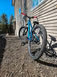 P.3 Specialized Dirt Jumper