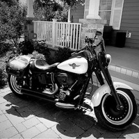 2011 Harley-Davidson® Softail® Fat Boy® Lo FLSTFB