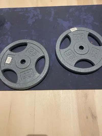 2x 25LBS weight plates, View more