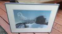 B K Lawes Limited Edition Print "Undercover~Snowy Owl" signed.