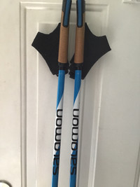 Salomon ski poles 