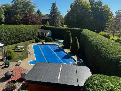 -professional Hedge Trimming- 613-700-9464 Email:Theottawavalleyhedgehog@gmail.com