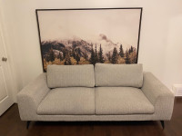 Beautiful modern couch, basically brand new
