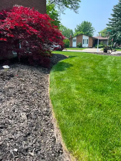 Lawn care, aeration, yard cleanups, sod work and more, View more