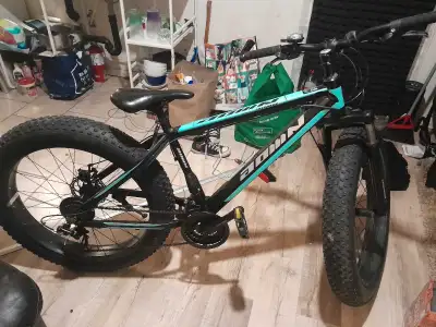 aown bike fat tire paid 1499.00, View more