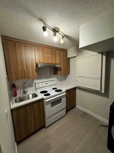 One bedroom basement for rent in Taradale NE- Separate entrance. Open and Nice with big windows, lot...