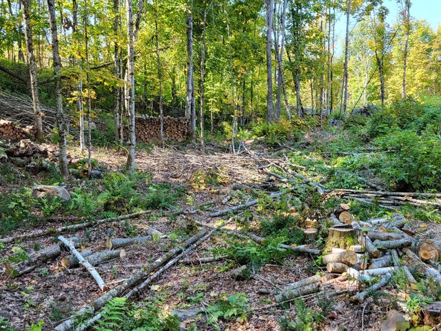 Magnifique terrain. 55600pieds carrés. — photo 3