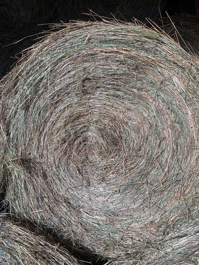 Hay for sale! 17053232582 Livestock Barrie Kijiji