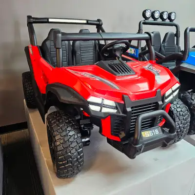 Choose Your All-Terrain Ride: 2x24V CAN-AM: $54.99/Day – A powerful and stylish buggy designed for m...
