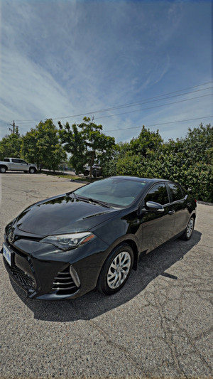 2019 Toyota Corolla