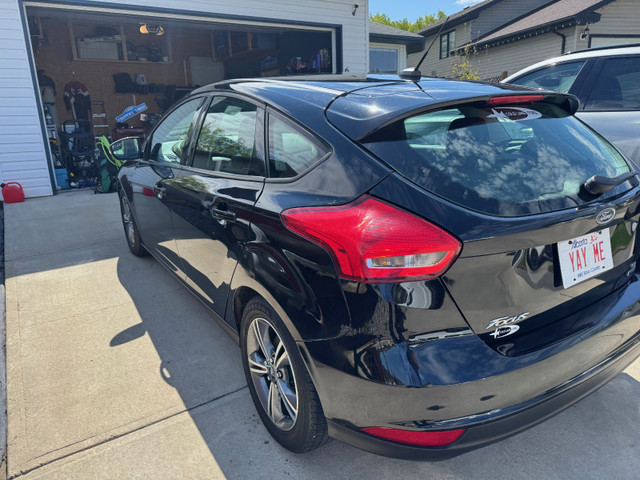 2016 Ford Focus SE in Cars & Trucks in Edmonton - Image 4