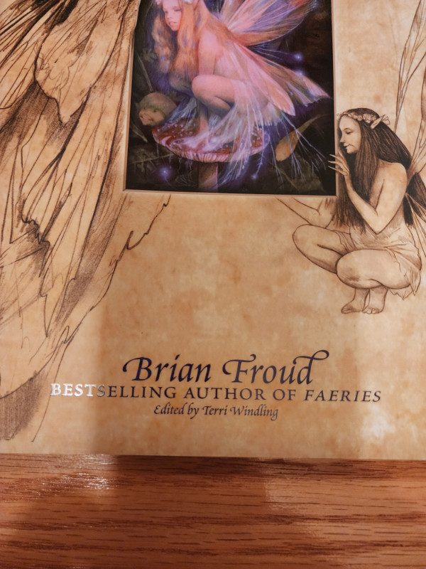 Hardcover Edition Good Faeries / Bad Faeries By Brian Froud in Fiction in Edmonton - Image 2