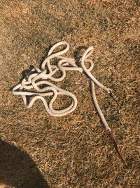 Parelli Lead rope