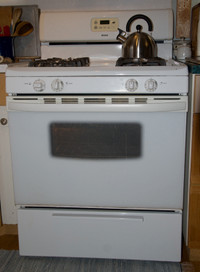 Kenmore Gas Stove