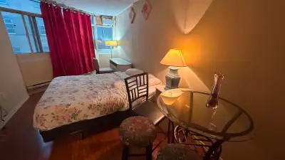 Furnished bachelor studio, Dundas/College Station, TMU, Jul 1