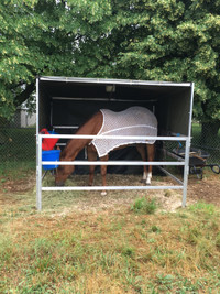 box portatif pour chevaux