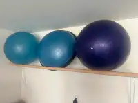 Bosu Balance Ball and Ballast Ball. Also comes with stand/ball
