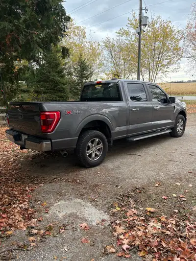 Looking to sell my 2021 f150. 5.0l v8. Has 72000km. Full synthetic oil changes since I bought it new...