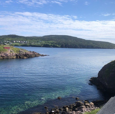 Established Ocean View Airbnb Property in Newfoundland