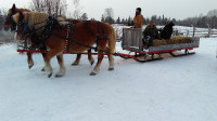 Horse-drawn sleigh