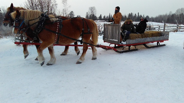 Horse-drawn sleigh in Equestrian & Livestock Accessories in Renfrew