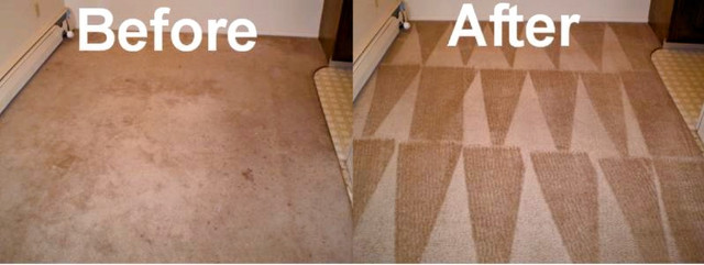 SPECIALIZING In REMOVING FOOD STAINS, PET STAINS, ODOR, OIL, Vom in Cleaners & Cleaning in Calgary - Image 4