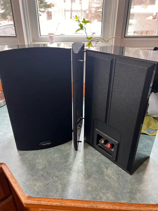 Paradigm Speakers65689555787650121