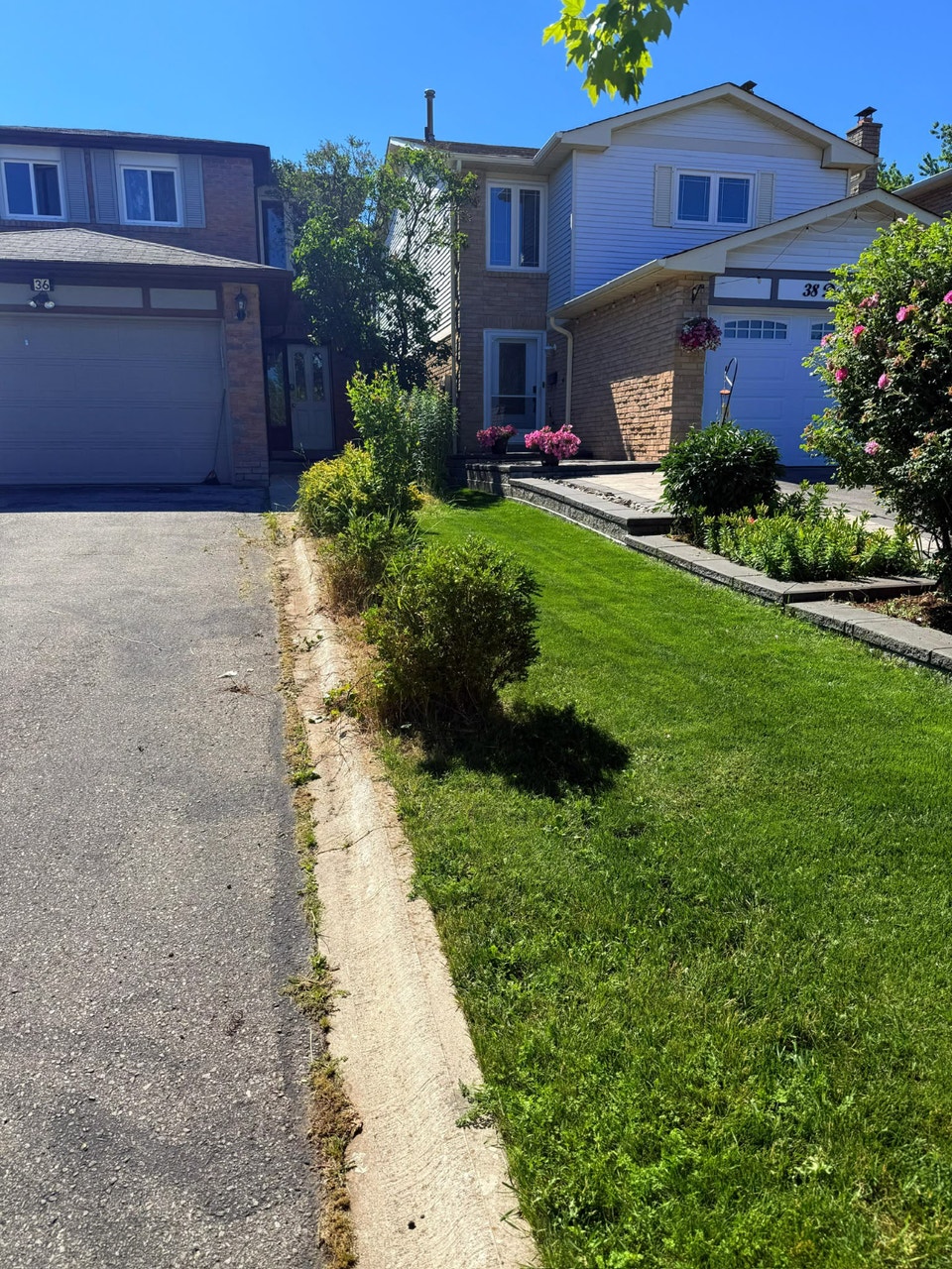 *2 Bedroom Basement Apartment for Rent* 4