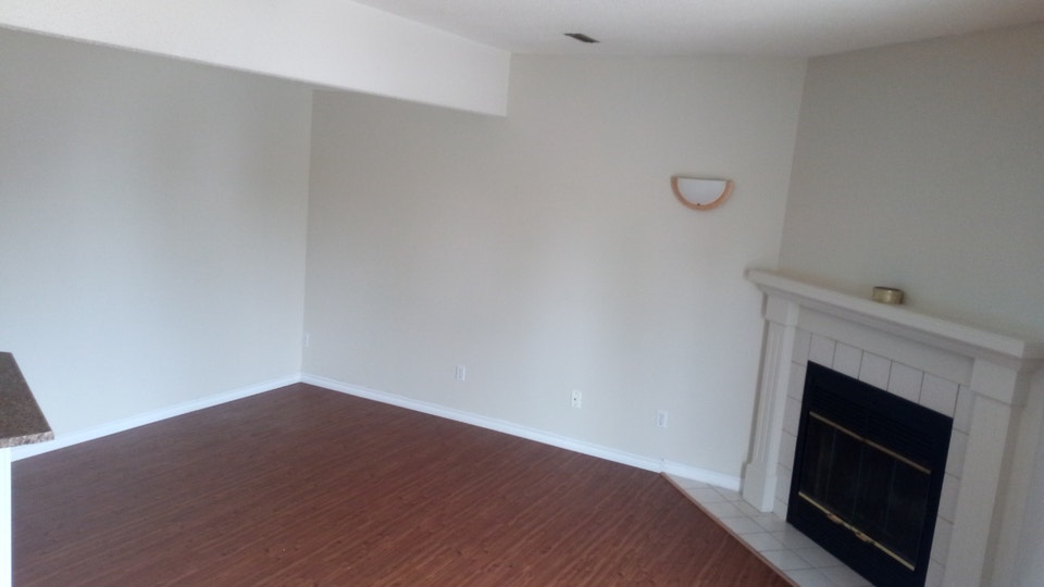Spacious Split Level 1 Bedroom Basement with Storage & Fireplace 3