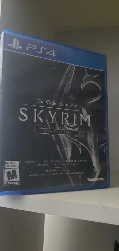 Ps4 skyrim disk