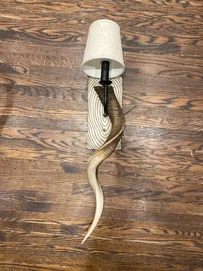 Horn Wall Lamp Sconce, View more