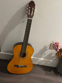 beginner guitar