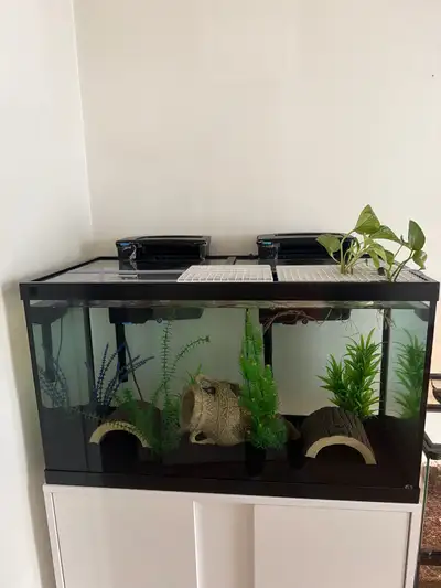 55 gallon aquarium, View more