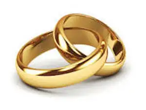 Registered Wedding Officiant Services PROMO62864741183747125
