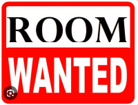 Apartment or Room Wanted
