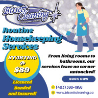 Routine Housekeeping Services