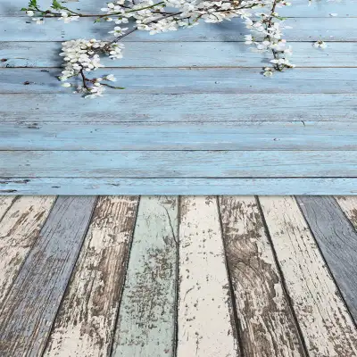 * Pick up is in Duntroon, Ontario Photography Backdrops Blue Horizontal And Vertical Stripes Splicin...