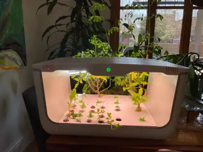 Vegehome The Oasis Smart Garden, View more
