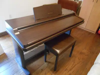 Piano Technics Digital Ensemble sx-PR250, View more