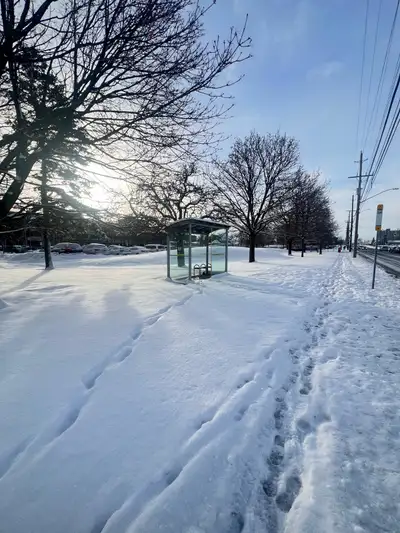 Looking for One Guy, View more