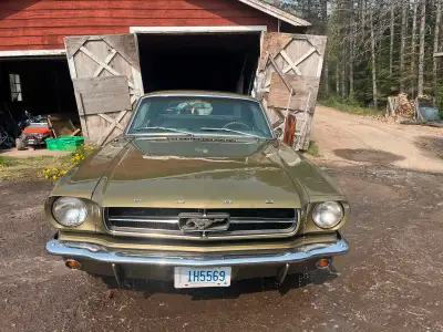 1965 ford mustang 6 cylinder 200 Automatic transmission Runs and drives New battery